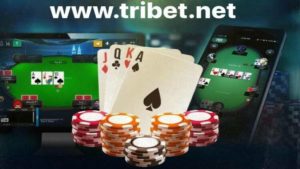 ¿Cómo jugar poker en Tribet.net?
