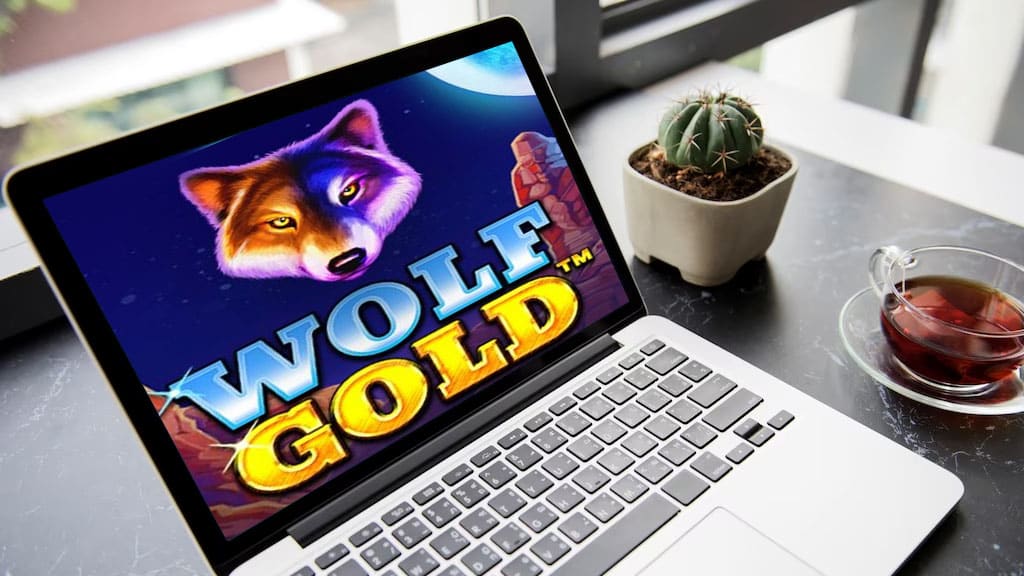 ¿Cómo se juega Wolf Gold?